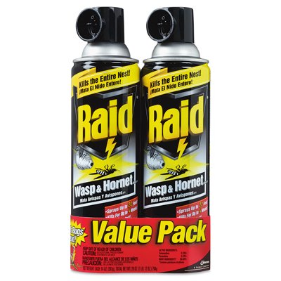 Raid Wasp & Hornet Killer